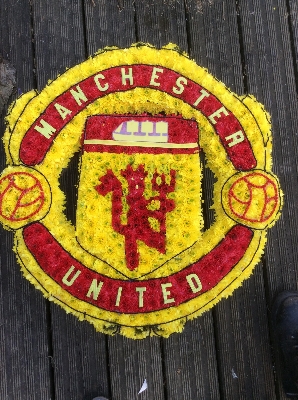 Manchester united cut out emblem