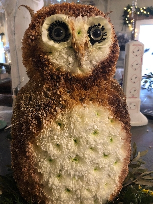 3D Barn owl