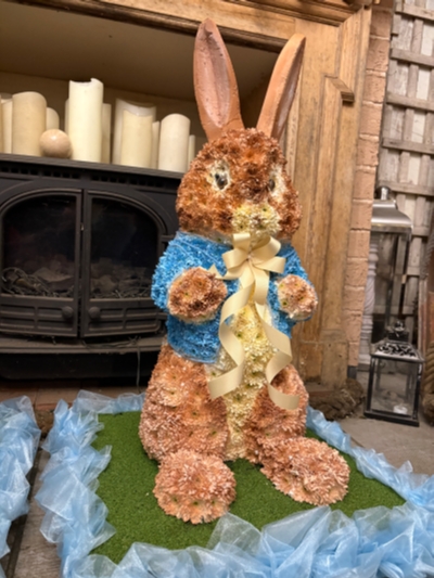 3D Peter Rabbit
