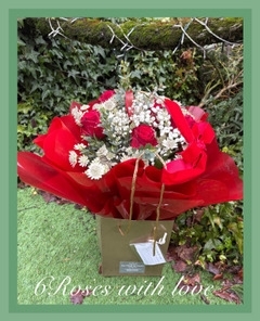6 Roses with Love