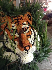 2D Tiger tribute