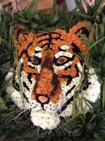 2D Tiger tribute