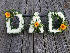 Dad 11