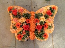 Butterfly orange