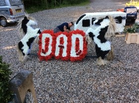 DAD XL Rearing Horses