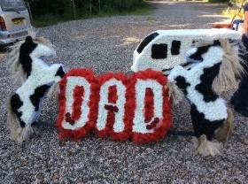 DAD XL Rearing Horses