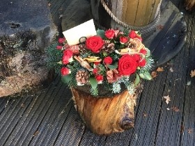 Box of Cheer