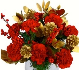 Christmas Carnations