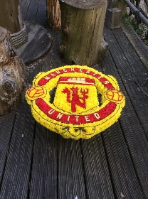 Manchester united cut out emblem