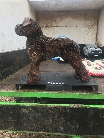 Dog 3D Tribute