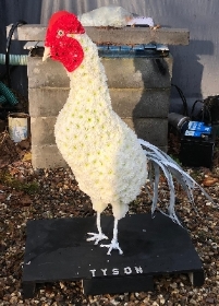 3D chicken Tribute