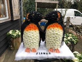 Penguins in love