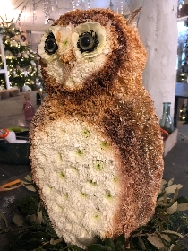 3D Barn owl
