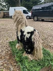 Cob Horse