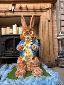 3D Peter Rabbit