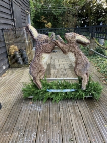 Fighting Hares