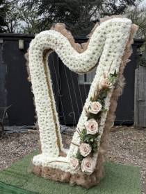 Harp