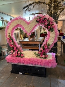 Heart of Heaven Peony